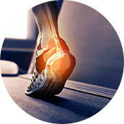 Foot